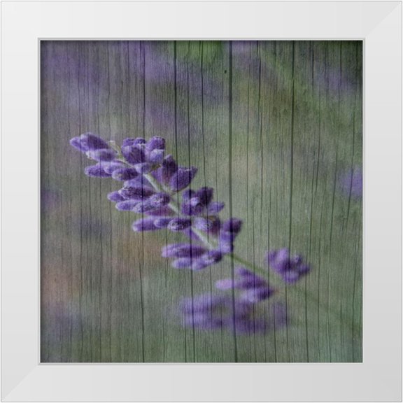 Phillip, Jamie 12x12 White Modern Wood Framed Museum Art Print Titled - Lavender Aroma