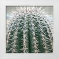 thumbnail image 1 of Phillip, Jamie 12x12 White Modern Wood Framed Museum Art Print Titled - Prickly Bulb 3, 1 of 4