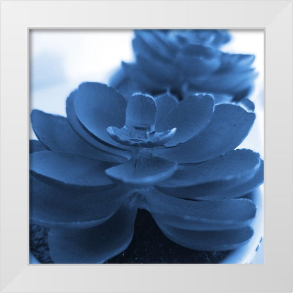Phillip, Jamie 12x12 White Modern Wood Framed Museum Art Print Titled - Succulent Photography 1