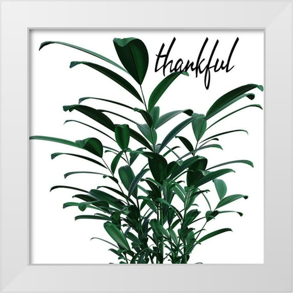 Phillip, Jamie 12x12 White Modern Wood Framed Museum Art Print Titled - Thankful