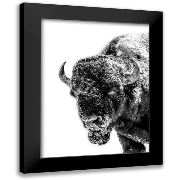 Phillip, Jamie 12x14 Black Modern Framed Museum Art Print Titled - Snow Motion 2
