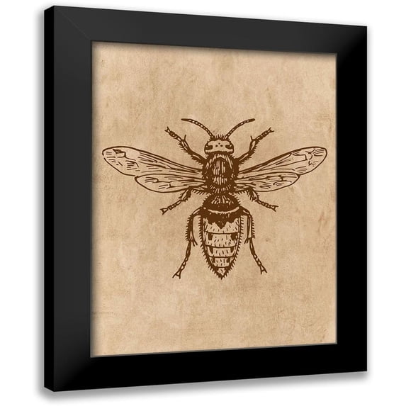 Phillip, Jamie 12x14 Black Modern Framed Museum Art Print Titled - Specimen 1