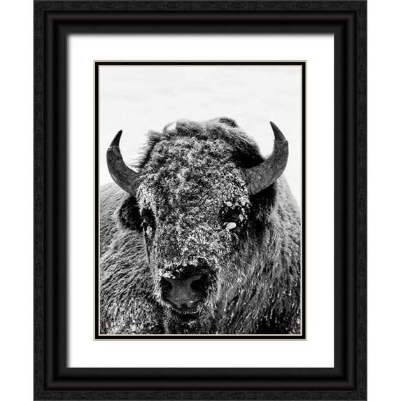 Phillip, Jamie 12x14 Black Ornate Wood Framed with Double Matting Museum Art Print Titled - Snow Motion