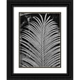 thumbnail image 1 of Phillip, Jamie 12x14 Black Ornate Wood Framed with Double Matting Museum Art Print Titled - Tropical Palm 2, 1 of 4