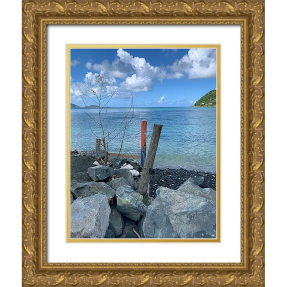 Phillip, Jamie 12x14 Gold Ornate Wood Framed with Double Matting Museum Art Print Titled - BVI 3