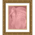thumbnail image 1 of Phillip, Jamie 12x14 Gold Ornate Wood Framed with Double Matting Museum Art Print Titled - Pink Flamingo, 1 of 4