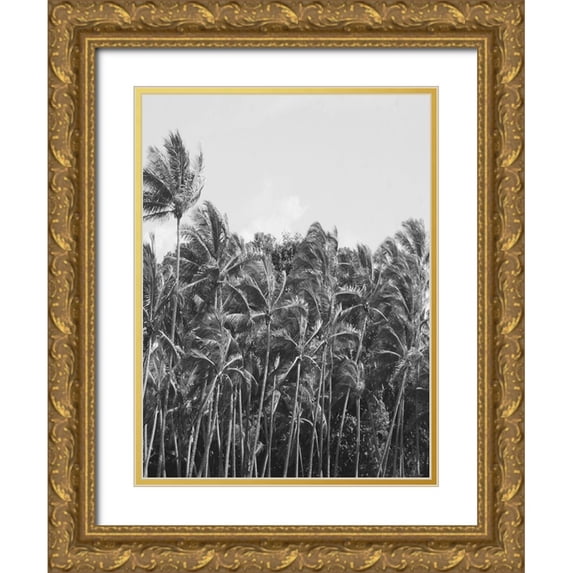 Phillip, Jamie 12x14 Gold Ornate Wood Framed with Double Matting Museum Art Print Titled - Trop Palm