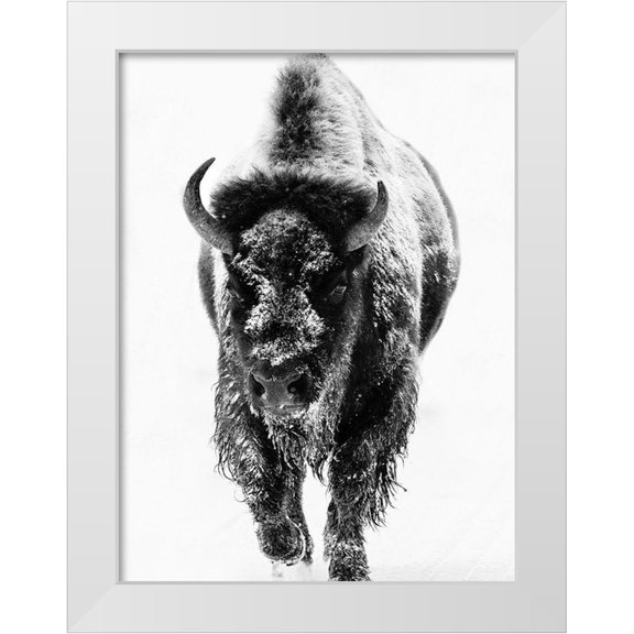 Phillip, Jamie 12x14 White Modern Wood Framed Museum Art Print Titled - Snow Motion 3