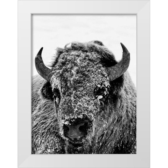 Phillip, Jamie 12x14 White Modern Wood Framed Museum Art Print Titled - Snow Motion