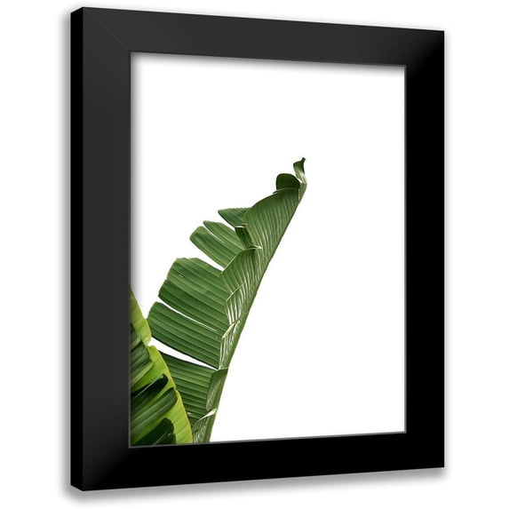 Phillip, Jamie 13x18 Black Modern Framed Museum Art Print Titled - Banana Leavesa