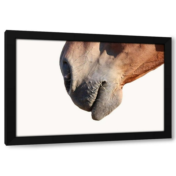 Jamie Phillip 14x11 Black Modern Wood Framed Wall Art Titled - Horse