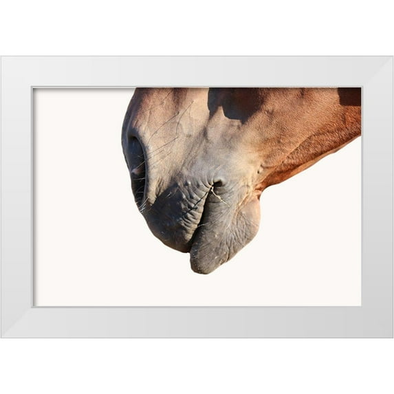 Phillip, Jamie 14x11 White Modern Wood Framed Museum Art Print Titled - Horse
