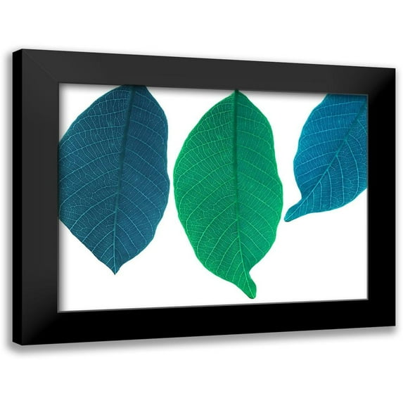 Phillip, Jamie 14x12 Black Modern Framed Museum Art Print Titled - Xrayed