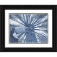 thumbnail image 1 of Phillip, Jamie 14x12 Black Ornate Wood Framed with Double Matting Museum Art Print Titled - Blue Tropics, 1 of 4