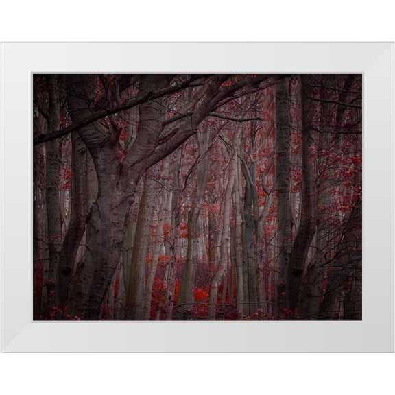 Phillip, Jamie 14x12 White Modern Wood Framed Museum Art Print Titled - Fall Woods