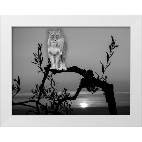 Phillip, Jamie 14x12 White Modern Wood Framed Museum Art Print Titled - Lion In The Darkness