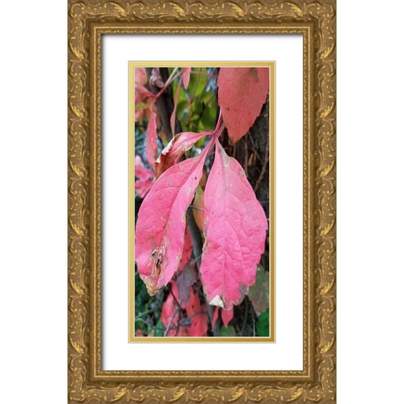 Phillip, Jamie 14x24 Gold Ornate Wood Framed with Double Matting Museum Art Print Titled - Blending Bloom 2