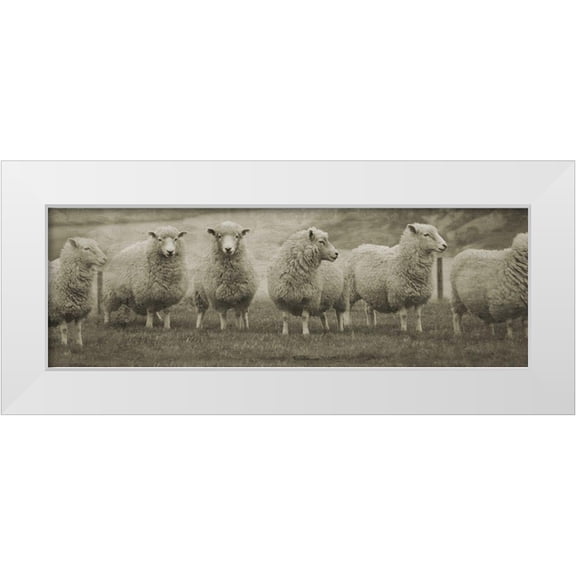 Phillip, Jamie 14x7 White Modern Wood Framed Museum Art Print Titled - Pasture Graze