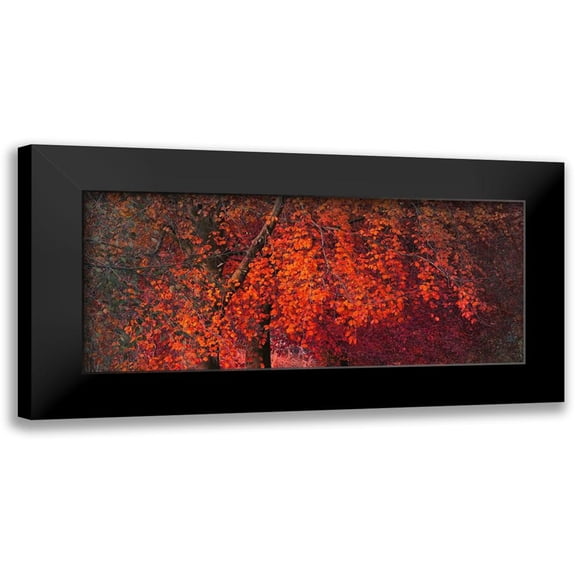 Phillip, Jamie 14x8 Black Modern Framed Museum Art Print Titled - Mystical Tree