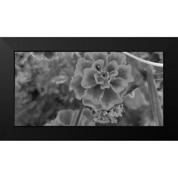 Phillip, Jamie 14x9 Black Modern Framed Museum Art Print Titled - Flow 2