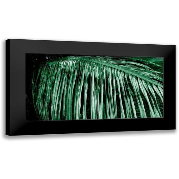 Phillip, Jamie 14x9 Black Modern Framed Museum Art Print Titled - Palm Branch