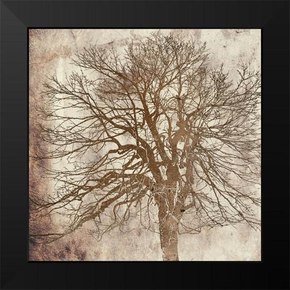 Phillip, Jamie 15x15 Black Modern Framed Museum Art Print Titled - Big Tree