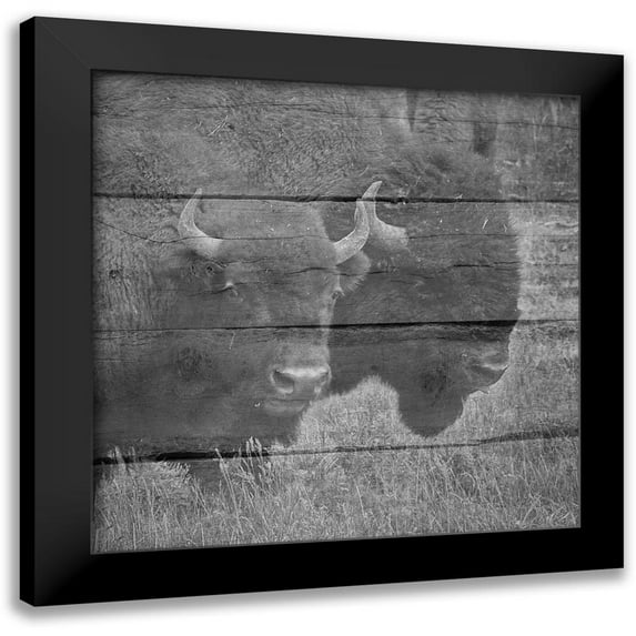 Phillip, Jamie 15x15 Black Modern Framed Museum Art Print Titled - Bison
