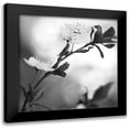 thumbnail image 1 of Phillip, Jamie 15x15 Black Modern Framed Museum Art Print Titled - Blooming Black, 1 of 5