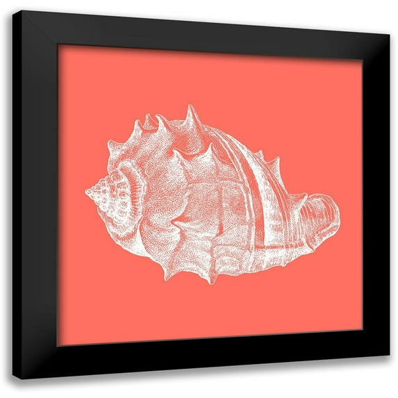 Phillip, Jamie 15x15 Black Modern Framed Museum Art Print Titled - Coral 3