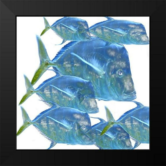 Phillip, Jamie 15x15 Black Modern Framed Museum Art Print Titled - Fishes