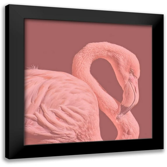 Phillip, Jamie 15x15 Black Modern Framed Museum Art Print Titled - Flamingo