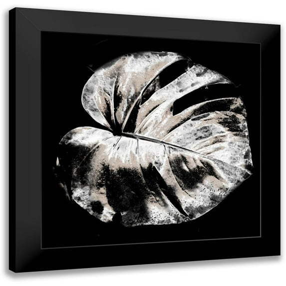 Phillip, Jamie 15x15 Black Modern Framed Museum Art Print Titled - Tropic Leaf 2