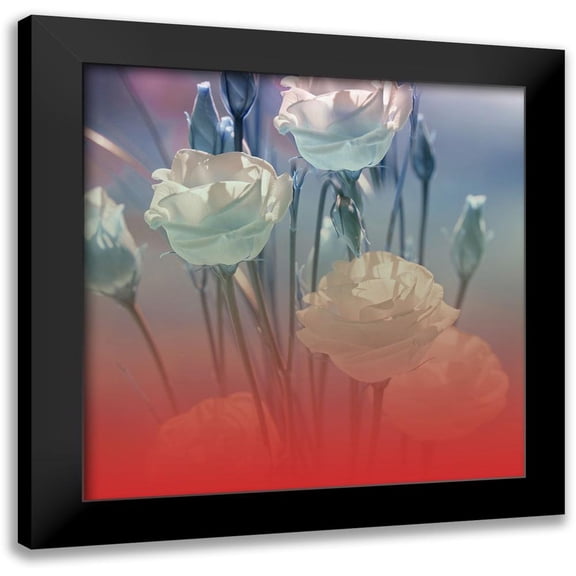 Phillip, Jamie 15x15 Black Modern Framed Museum Art Print Titled - Xray Roses