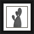 thumbnail image 1 of Phillip, Jamie 15x15 Black Ornate Wood Framed with Double Matting Museum Art Print Titled - Black Cactus, 1 of 4