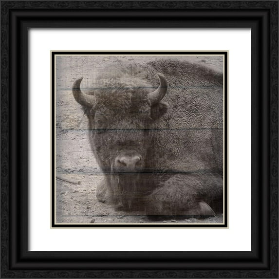 Phillip, Jamie 15x15 Black Ornate Wood Framed with Double Matting Museum Art Print Titled - Buffalo Baby 3