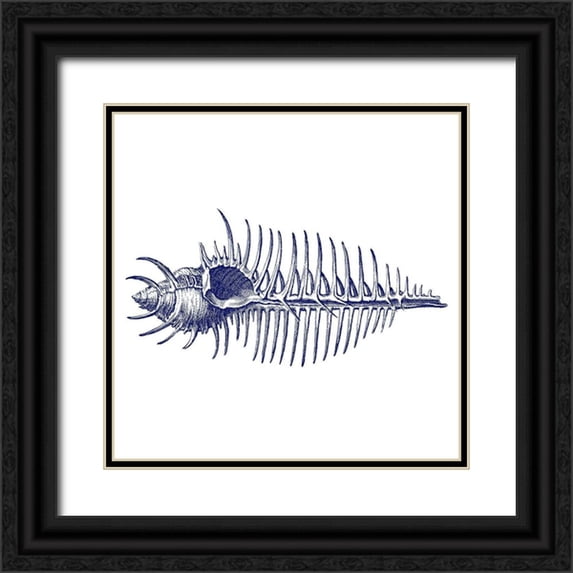 Phillip, Jamie 15x15 Black Ornate Wood Framed with Double Matting Museum Art Print Titled - Coral 4