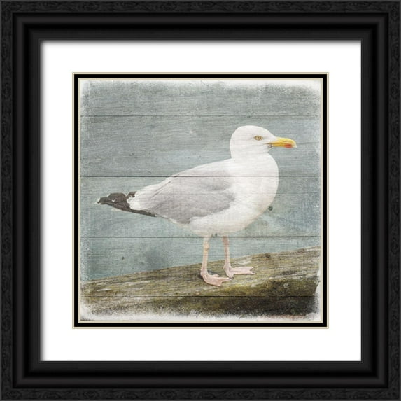 Phillip, Jamie 15x15 Black Ornate Wood Framed with Double Matting Museum Art Print Titled - Marquis Bay 2
