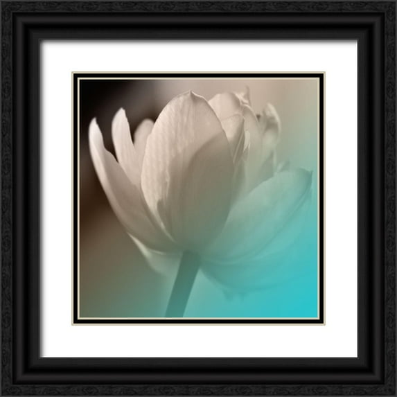 Phillip, Jamie 15x15 Black Ornate Wood Framed with Double Matting Museum Art Print Titled - Xray Lip