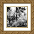 thumbnail image 1 of Phillip, Jamie 15x15 Gold Ornate Wood Framed with Double Matting Museum Art Print Titled - Black Forest 2, 1 of 4