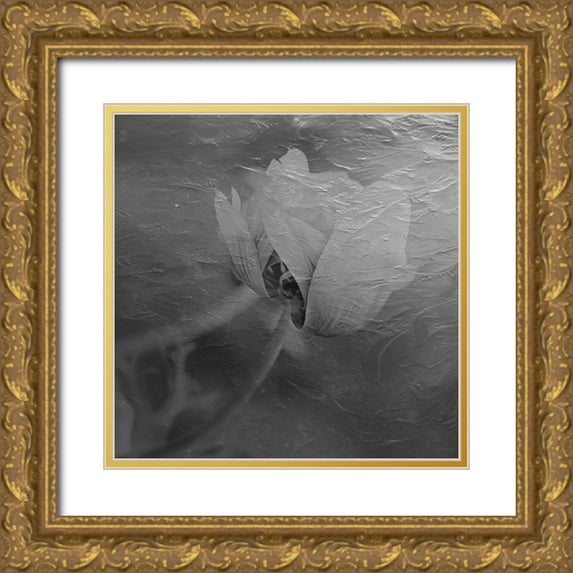 Phillip, Jamie 15x15 Gold Ornate Wood Framed with Double Matting Museum Art Print Titled - Paint Textured Rose