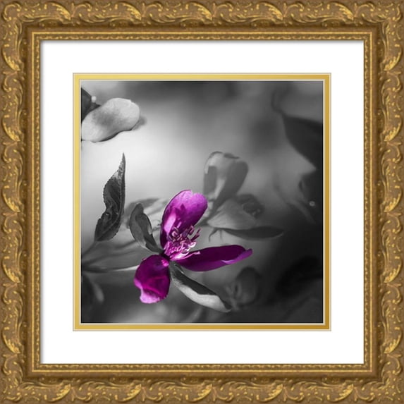 Phillip, Jamie 15x15 Gold Ornate Wood Framed with Double Matting Museum Art Print Titled - Purple Rain