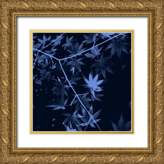 Phillip, Jamie 15x15 Gold Ornate Wood Framed with Double Matting Museum Art Print Titled - True Blue