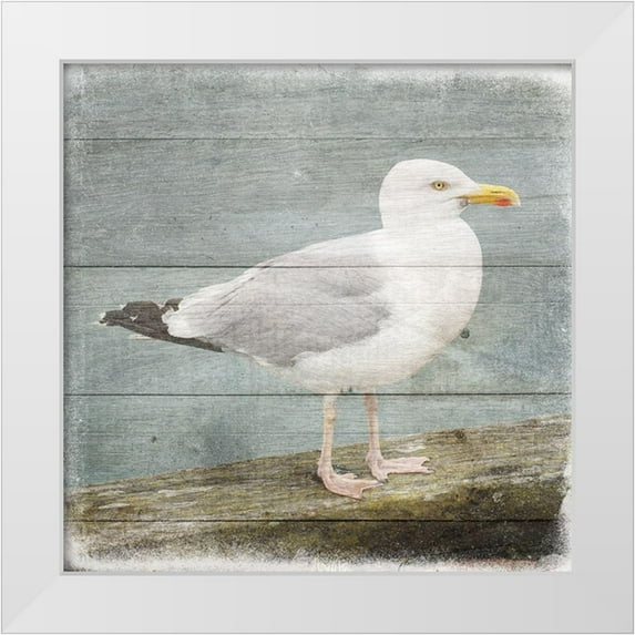 Phillip, Jamie 15x15 White Modern Wood Framed Museum Art Print Titled - Marquis Bay 2