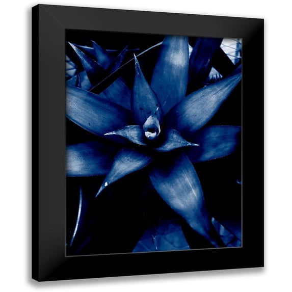 Phillip, Jamie 15x18 Black Modern Framed Museum Art Print Titled - Tropical 6
