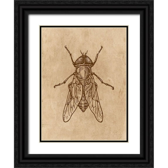 Phillip, Jamie 15x18 Black Ornate Wood Framed with Double Matting Museum Art Print Titled - Specimen 2