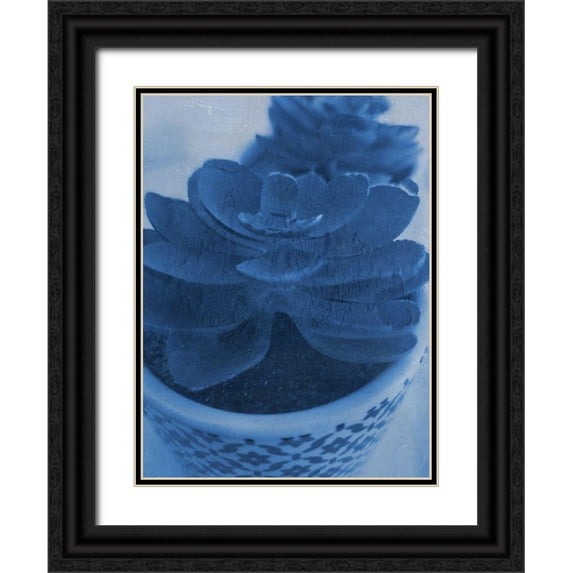 Phillip, Jamie 15x18 Black Ornate Wood Framed with Double Matting Museum Art Print Titled - Succulent Plant 1