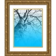 thumbnail image 1 of Phillip, Jamie 15x18 Gold Ornate Wood Framed with Double Matting Museum Art Print Titled - Blue Sky, 1 of 4