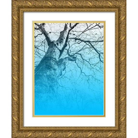 Phillip, Jamie 15x18 Gold Ornate Wood Framed with Double Matting Museum Art Print Titled - Blue Sky