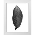 thumbnail image 1 of Phillip, Jamie 15x18 White Modern Wood Framed Museum Art Print Titled - Dark Moon Glow, 1 of 4