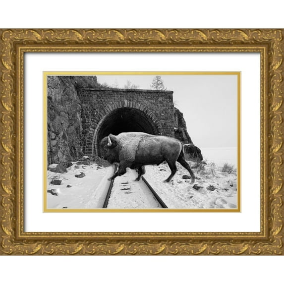 Phillip, Jamie 18x14 Gold Ornate Wood Framed with Double Matting Museum Art Print Titled - Bison Season 5